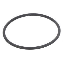 Picture of O-Ring
