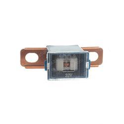 Picture of Fuse 100a