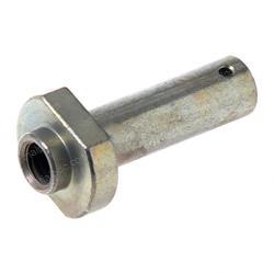 Picture of Pin