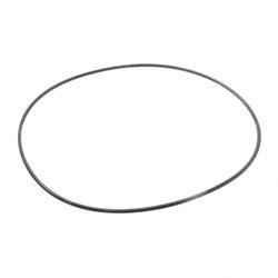 Picture of O-RING