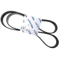 Picture of Belt - Serpentine