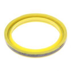 Picture of Wiper Ring