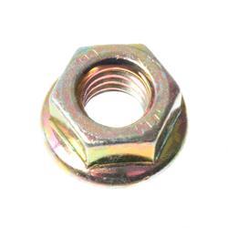 Picture of Nut