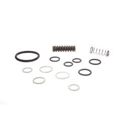 Picture of Seal and Spring Kit