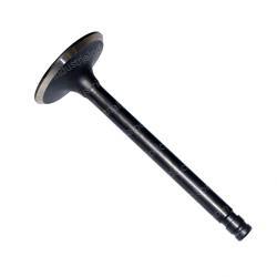 Picture of Valve,intake