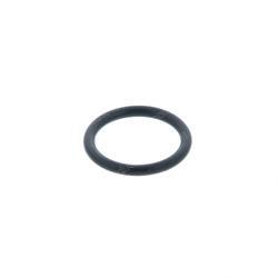 Picture of O-Ring