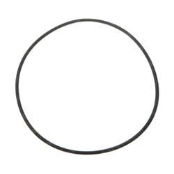 Picture of O-Ring