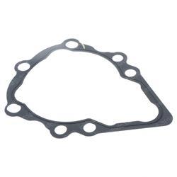 Picture of Gasket
