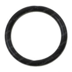 Picture of O-Ring