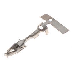 Picture of Socket Term