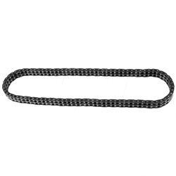 Picture of Chain - Timing