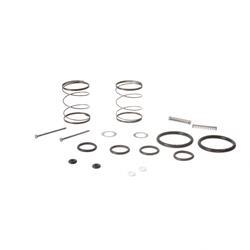 Picture of Kit  Spring & Oring