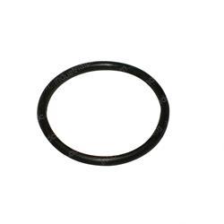 Picture of O-Ring