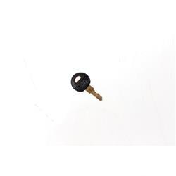 Picture of Cab Key for Angus Palm Cabs