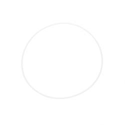 Picture of Ring - Back Up