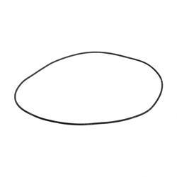 Picture of O-Ring