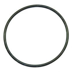 Picture of O-Ring