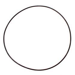 Picture of O-Ring