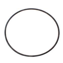 Picture of O-Ring