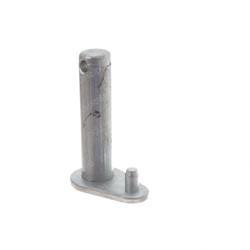 Picture of Pin