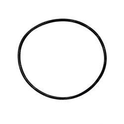 Picture of O-Ring