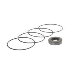 Picture of Seal Kit