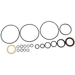 Picture of Seal Kit - Motor