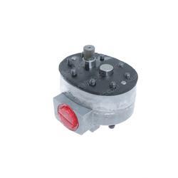 Picture of Hydraulic Gear Pump