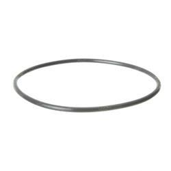 Picture of O-Ring