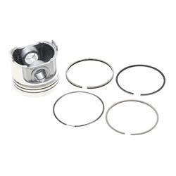Picture of Piston With Rings Assembly