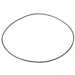Picture of O-Ring