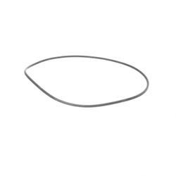 Picture of O-Ring