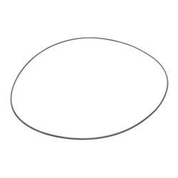 Picture of O-Ring