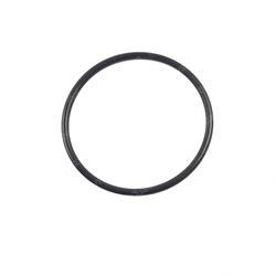 Picture of O-Ring