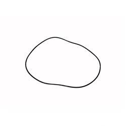 Picture of O-Ring