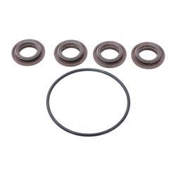 Picture of Seal Kito Ring