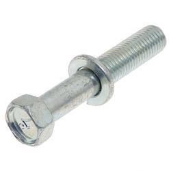 Picture of Bolt