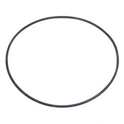 Picture of O-Ring
