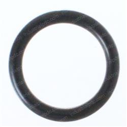 Picture of O-Ring