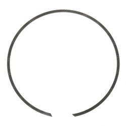 Picture of Retaining Ring