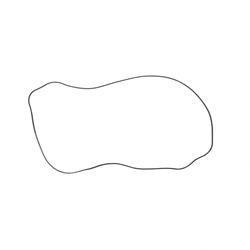 Picture of Gasket