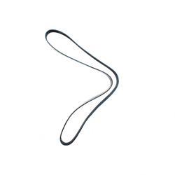 Picture of Belt - Serpentine