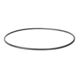 Picture of O-Ring