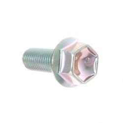 Picture of Bolt Flange