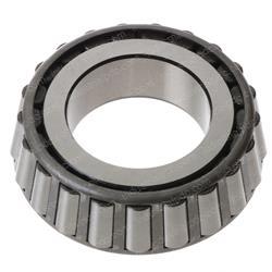 Picture of Cone-Bearing