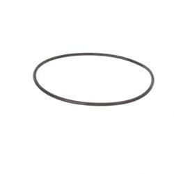 Picture of O-Ring