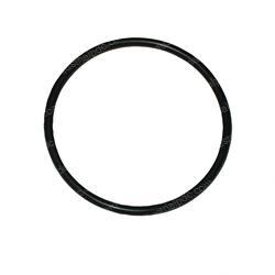 Picture of O-Ring