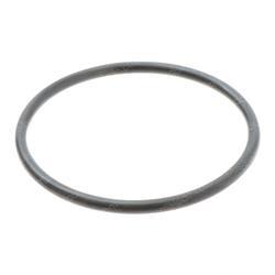 Picture of O-Ring