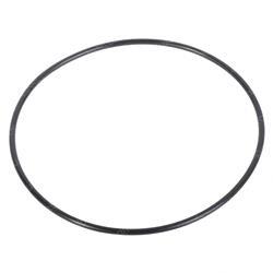 Picture of O-Ring