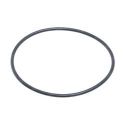 Picture of O-Ring